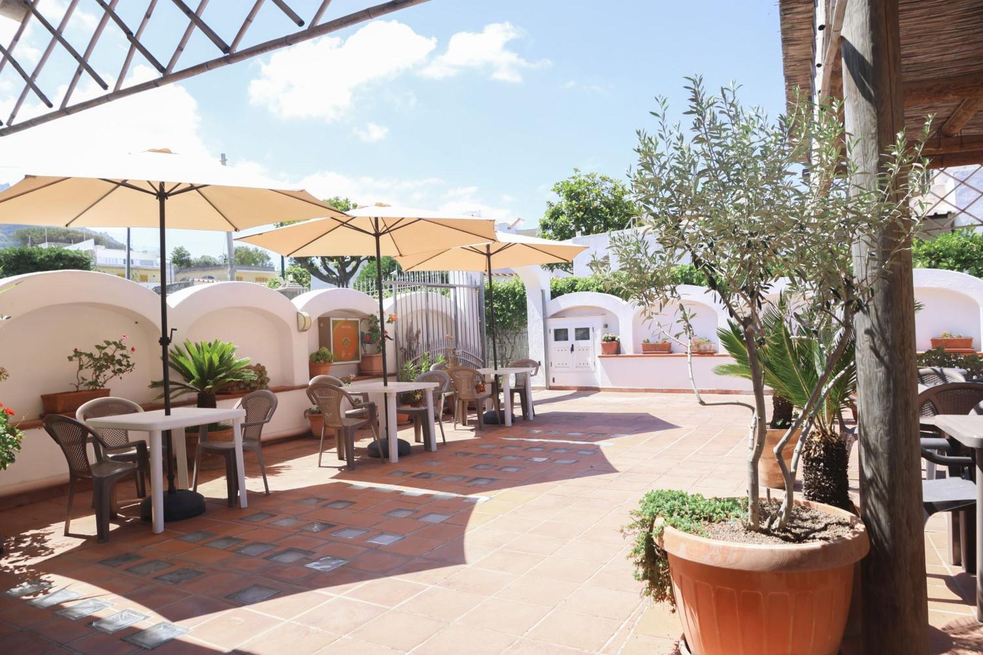 Hotel Cesotta Forio di Ischia Εξωτερικό φωτογραφία