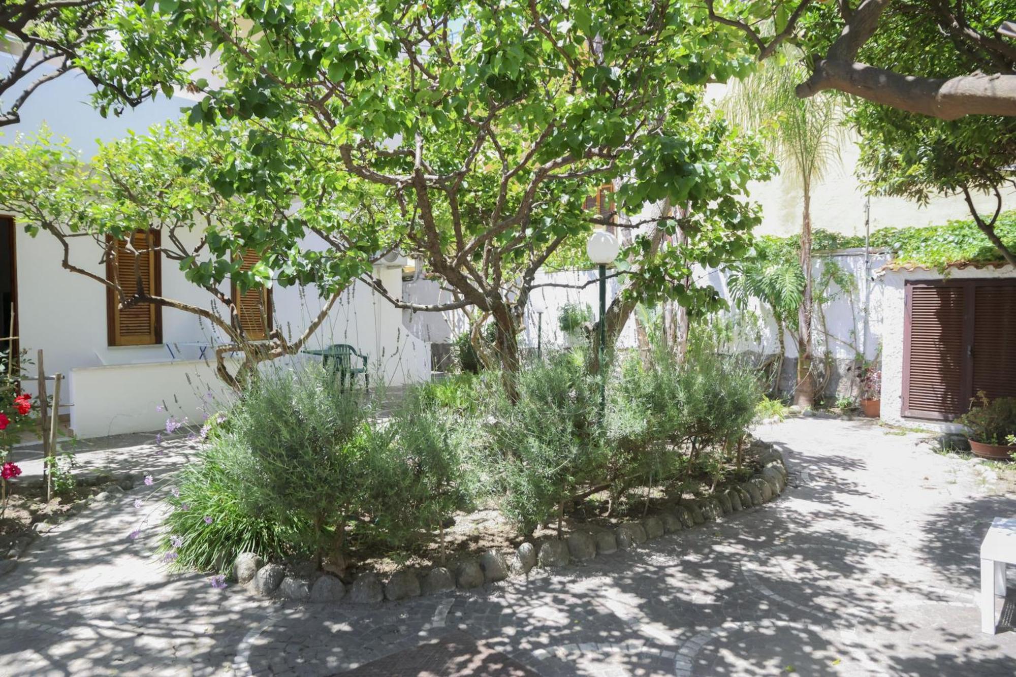 Hotel Cesotta Forio di Ischia Εξωτερικό φωτογραφία