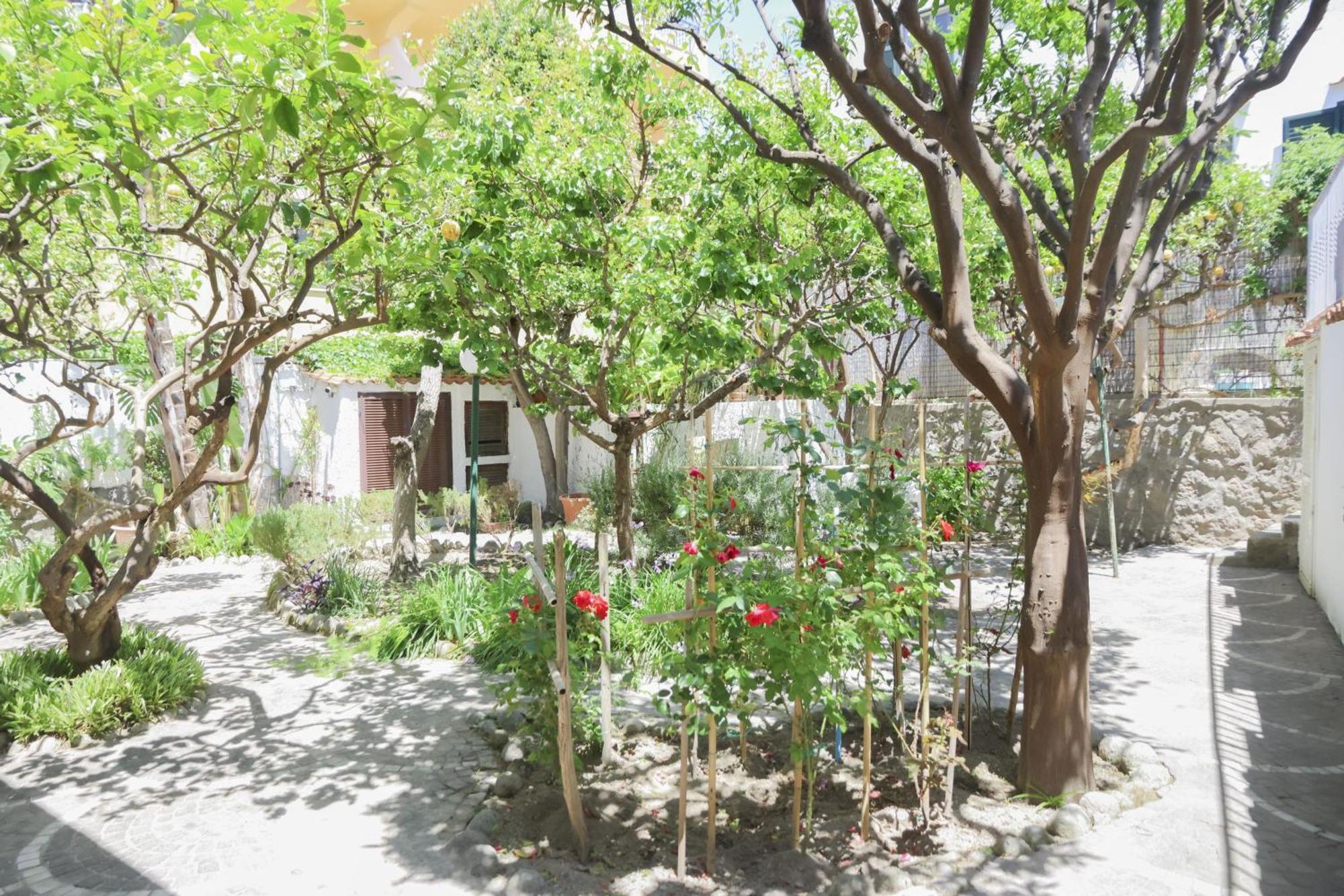 Hotel Cesotta Forio di Ischia Εξωτερικό φωτογραφία